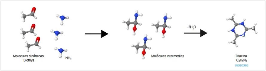 Esquema reacción molecular OdourTransformerTech Biothys neutralizando H₂S y NH₃
